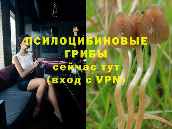 а пвп мука Абинск