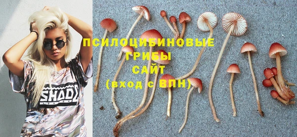 а пвп мука Абинск