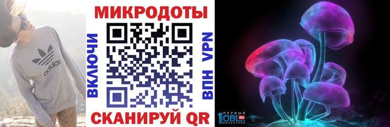 купить   Тырныауз  Галлюциногенные грибы MAGIC MUSHROOMS 