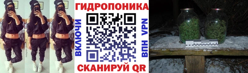 Бошки Шишки OG Kush  Тырныауз 